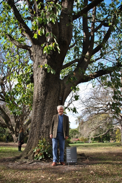 Poet Chris Wallace Crabbe AM with his poem 'At the Tandicals' in the Royal Botanic Gardens Victoria