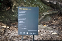 An excerpt from 'At the Tandicals' by poet Chris Wallace Crabbe AM in the Royal Botanic Gardens Victoria